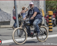 TSR Watermark - 0606